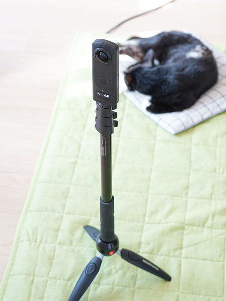 Ascii Jp リコーの Theta Z1 で360度猫まみれの写真を撮る 2 2