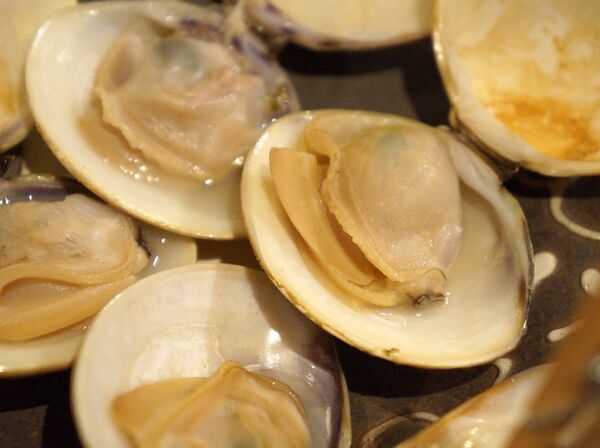 はまぐりがエンドレス はまぐりわんこ の名店 貝好きは必訪 週刊アスキー