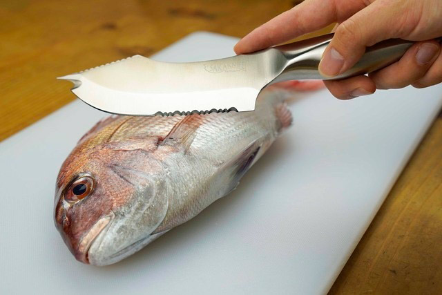 Ascii Jp 誰でも簡単に魚をさばける サカナイフ 2本セットが1万9000円