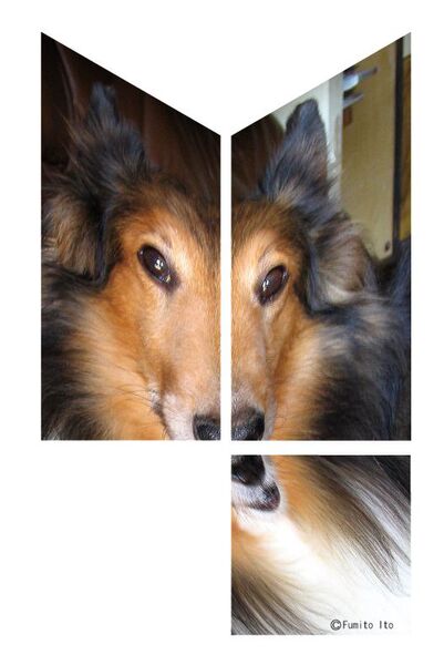 きてれつキューブをつくってみよう！