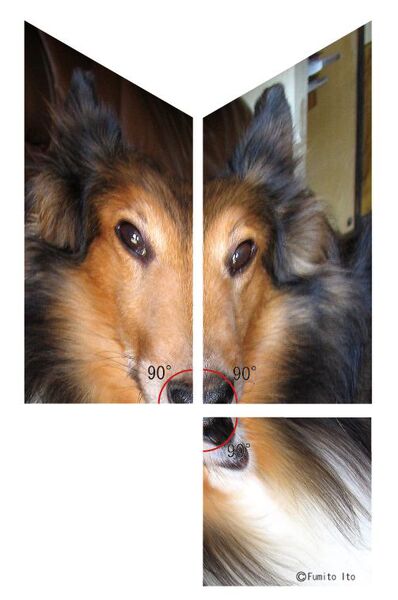 【手順4】分割したパーツを変形させる