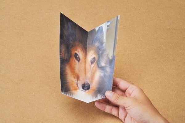 【手順5】プリントして組み立てれば完成！