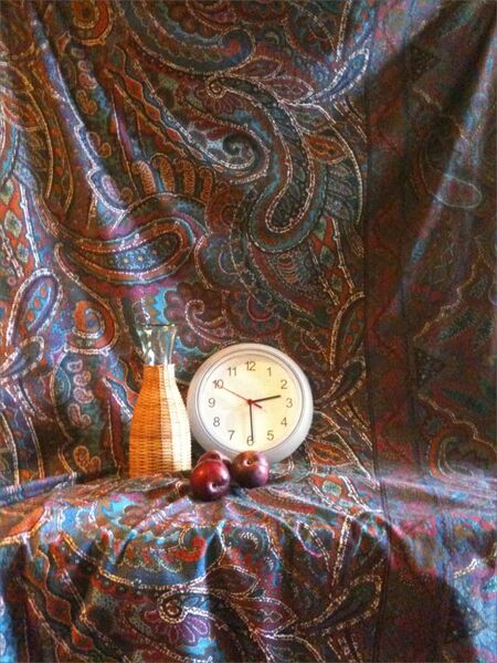 念のため、iPhone 3GSで撮影してます