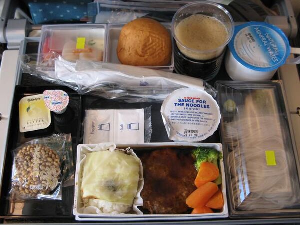 機内食・ハンバーグ