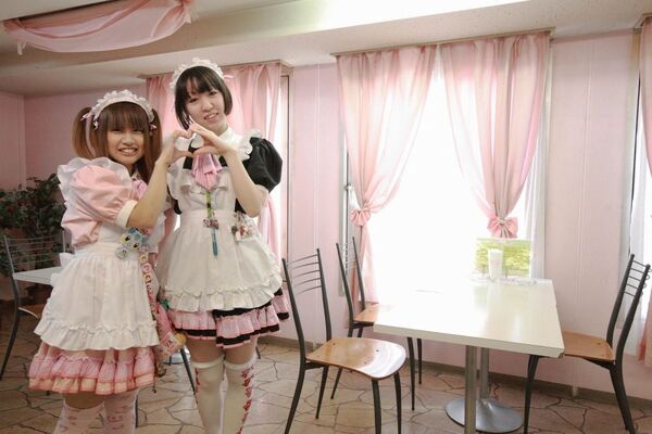 【アキバ食い倒れ部】ロイヤルミルク