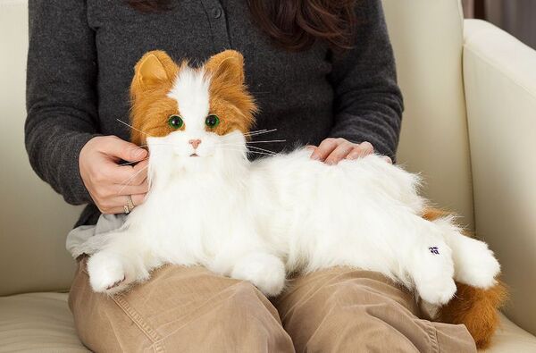 夢ねこヴィーナス