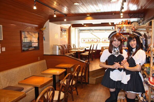 【アキバ食い倒れ部】ミアカフェ