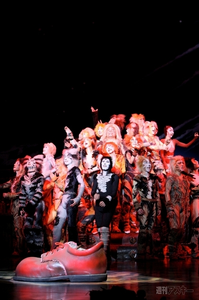 劇団四季『キャッツ』　オープニングポーズ