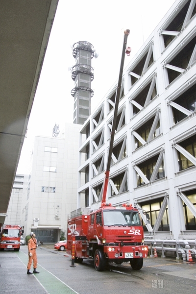 デカい＆高い！