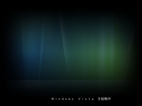 ビスタ、チェックあり