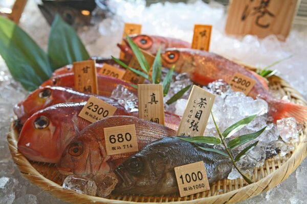 【アキバ食い倒れ部】八吉 秋葉原店