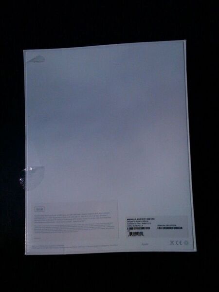 iPad発売の瞬間@NY旗艦店