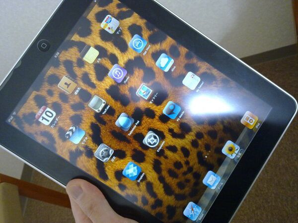 iPad
