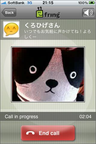 ビデオチャットメインなら、別アプリという手もあります