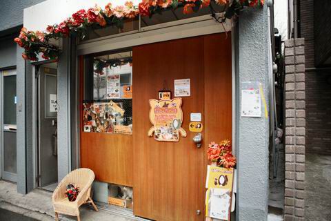 【アキバ食い倒れ部2010】ねこ・JaLaLa