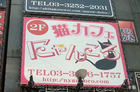 【アキバ食い倒れ部2010】にゃんころ