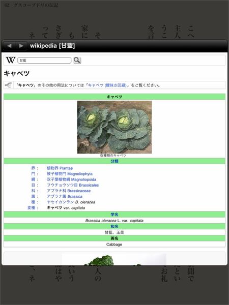 甘藍はキャベツの和名です