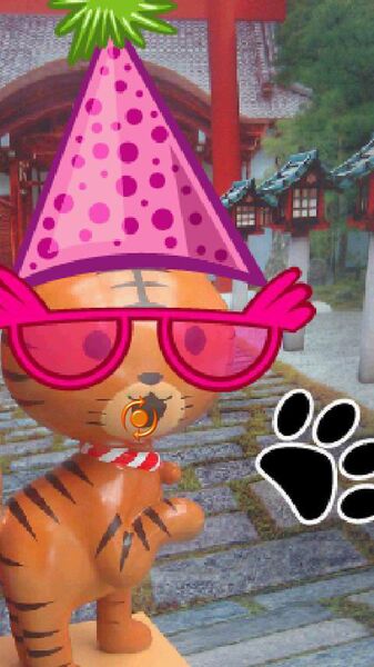 PicSay Pro - Photo Editor