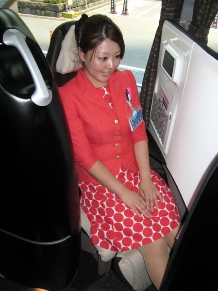 コクーンシート