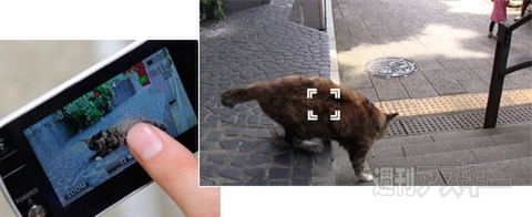 iVIS HF M32で夏の思い出を残す