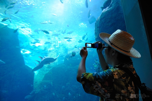 iVIS HF M32で夏の思い出を残す：ダラダラ撮りしない