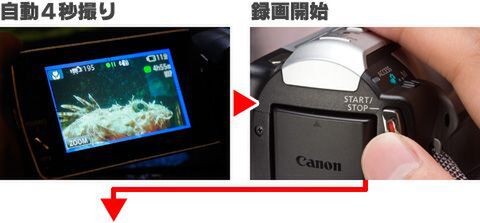 iVIS HF M32で夏の思い出を残す