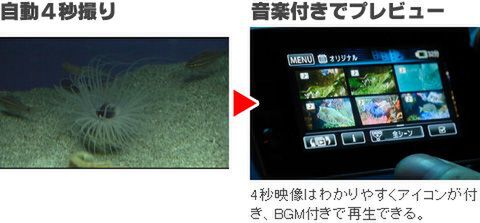 iVIS HF M32で夏の思い出を残す