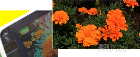 iVIS HF M32で夏の思い出を残す