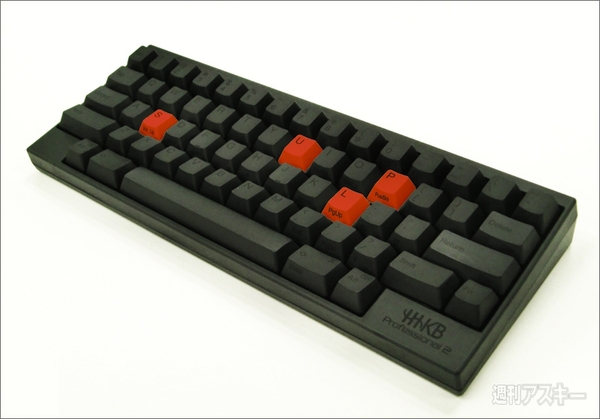 【1周年記念】PLUSなプレゼント