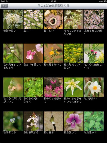 なかなかのメッセージ性があるようです……