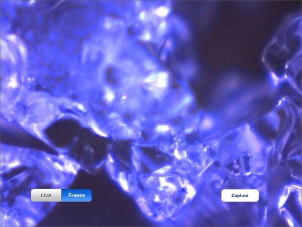 ワンダー×ワンダー的な映像