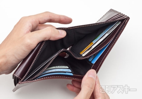 Nortonブライドル財布