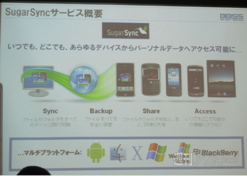 20101111SugarSync03