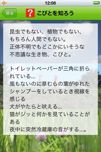 ふしぎな生き物“こびと”