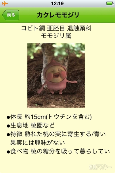 ふしぎな生き物“こびと”