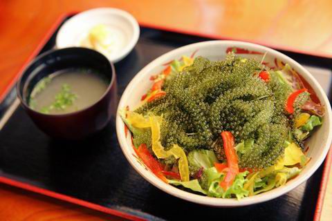 【アキバ食い倒れ部2010】北谷食堂