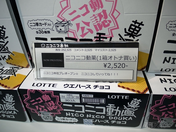 ニコニコ本社プレオープン