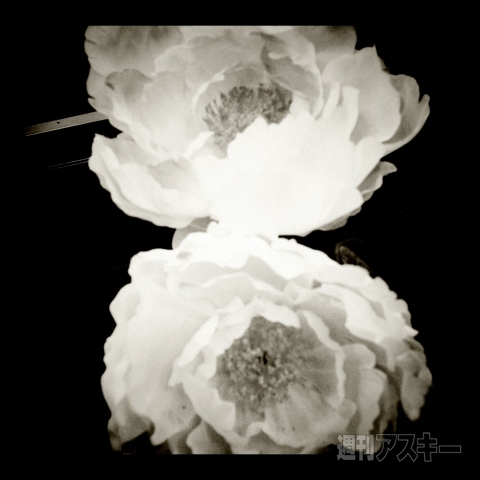 Black and White Toy Camera