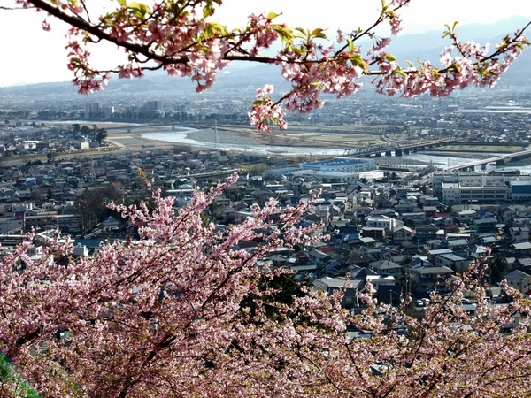 > </a> </th> </tr> <tr> <td> <!--  NODATA  --> </td> </tr> <tr> <td><!--  NODATA  --></td> </tr> <tr> <td><!--  NODATA  --></td> </tr> <tr> <th> <a href=