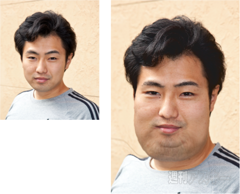 ファットキヨスク