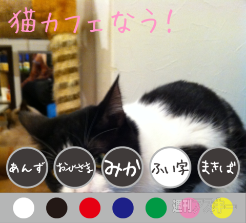 手書き風カメラ