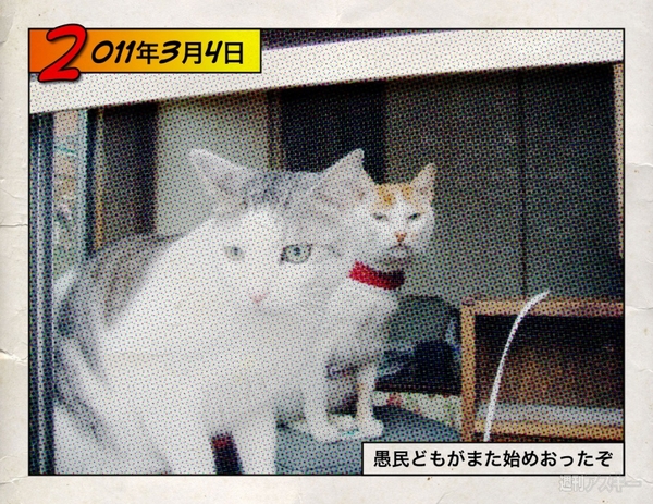 > </a> </th> </tr> <tr> <td> <!--  NODATA  --> </td> </tr> <tr> <td><!--  NODATA  --></td> </tr> </tbody> </table> <table class=