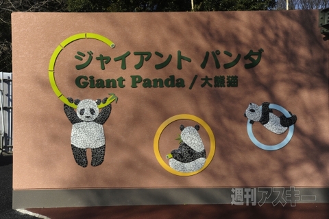 パンダ対策マニュアル