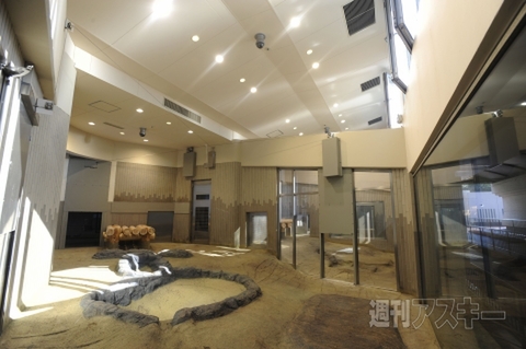 パンダ対策マニュアル