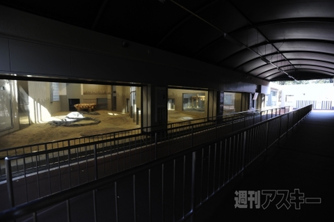 パンダ対策マニュアル