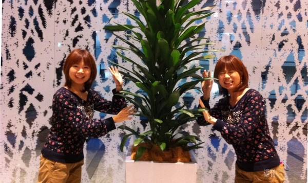 AutoStitch Twins Photo Maker