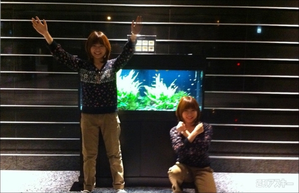 AutoStitch Twins Photo Maker