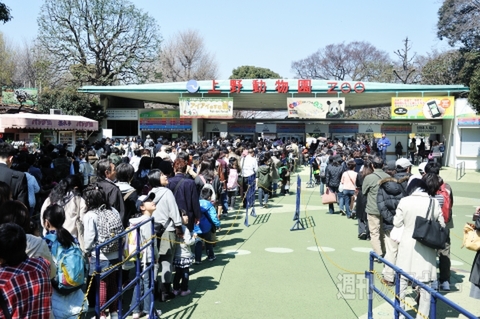 上野でパンダ公開！！