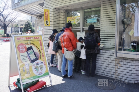 上野でパンダ公開！！