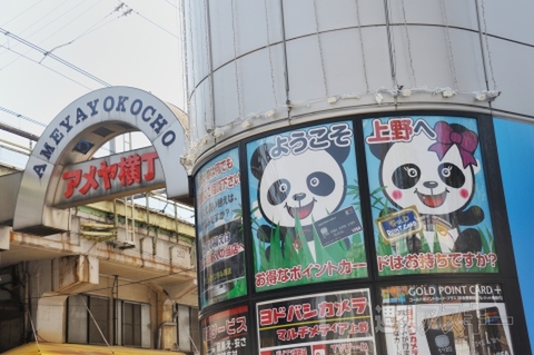 上野でパンダ公開！！